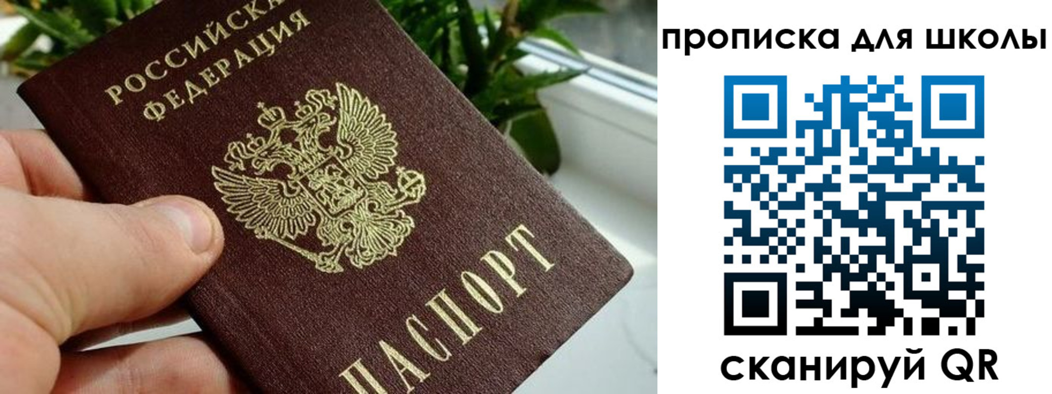 регистрация для дет. сада в Суровикино